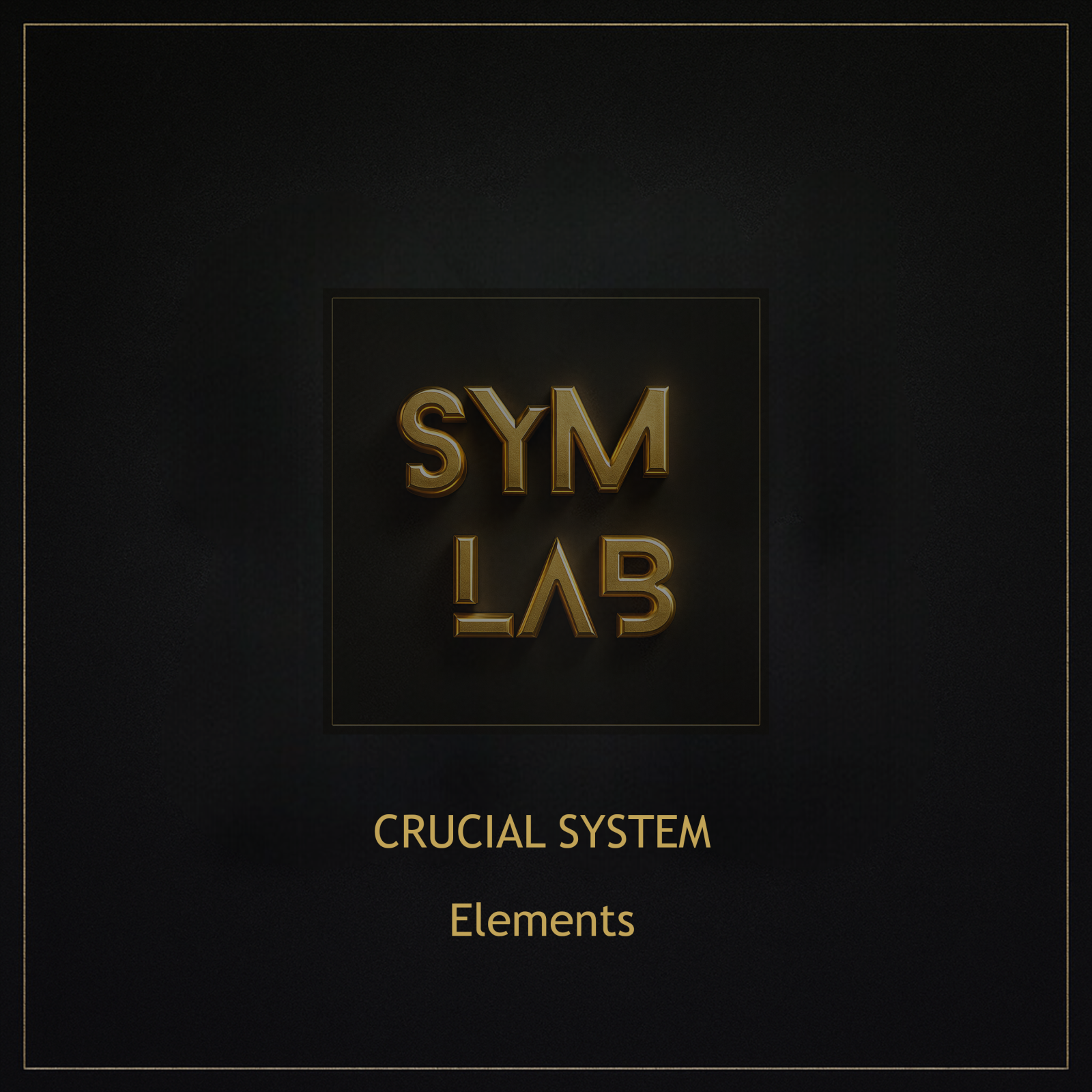 SYMLAB006